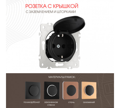 Розетка с заземлением, шторками и защитной крышкой Arte Milano 202.41-1.black Розетка с заземлением, шторками и защитной крышкой Arte Milano 202.41-1.black