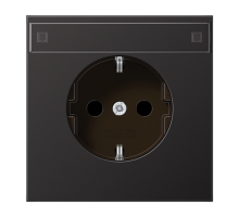 Розетка 2K+З Jung AL1520NAD