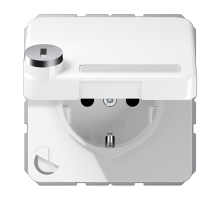 Розетка Jung CD1520NAKLSLWW