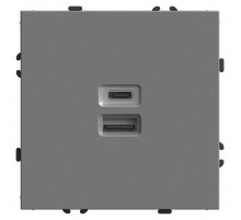 Розетка 2-местная USB + Type C Stekker Эмили RST10-5115-10 49957