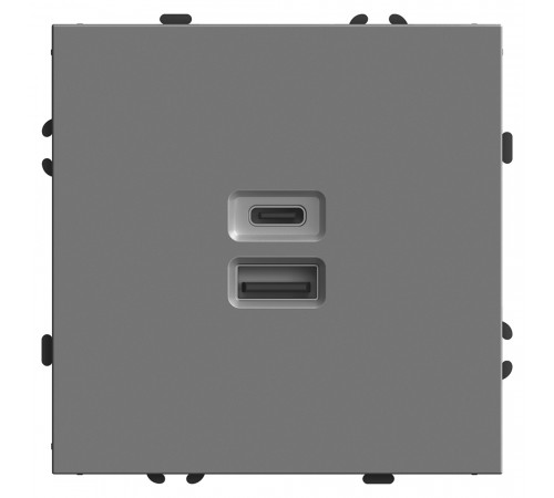 Розетка 2-местная USB + Type C Stekker Эмили RST10-5115-10 49957 Розетка 2-местная USB + Type C Stekker Эмили RST10-5115-10 49957