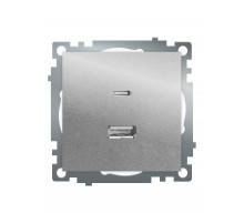 Розетка 2-местная USB + type C Stekker Катрин GLS10-7116-03 50054
