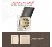 Розетка с заземлением, шторками и защитной крышкой Arte Milano 206.41-1.shampan