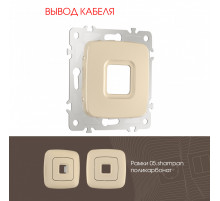 Вывод кабеля Arte Milano 205.49-1.shampan