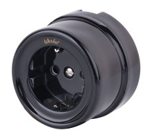 Розетка с заземлением Werkel 4690389166808 W5671008