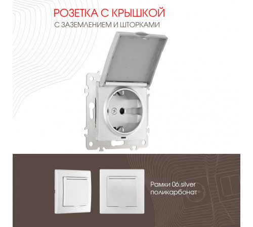 Розетка с заземлением, шторками и защитной крышкой Arte Milano 206.41-1.silver