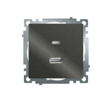Розетка 2-местная USB + type C Stekker Катрин GLS10-7116-06 50052