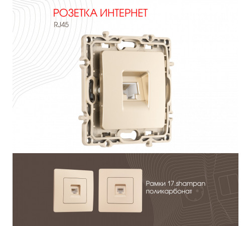 Розетка RJ45 Arte Milano 217.45-1.shampan Розетка RJ45 Arte Milano 217.45-1.shampan