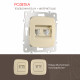 Розетка телефонная RJ11 + компьютерная RJ45 Arte Milano 205.44-1.shampan