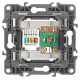 Розетка комбинированная RJ45+TV Эра 12-3110-01 Б0027441
