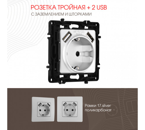 Розетка с заземлением, шторками + 2 USB Arte Milano 217.47-1.silver Розетка с заземлением, шторками + 2 USB Arte Milano 217.47-1.silver