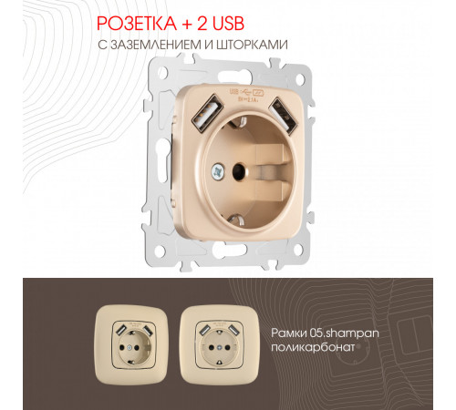 Розетка с заземлением, шторками + 2 USB Arte Milano 205.47-1.shampan Розетка с заземлением, шторками + 2 USB Arte Milano 205.47-1.shampan