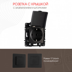 Розетка с заземлением, шторками и защитной крышкой Arte Milano 217.41-1.black