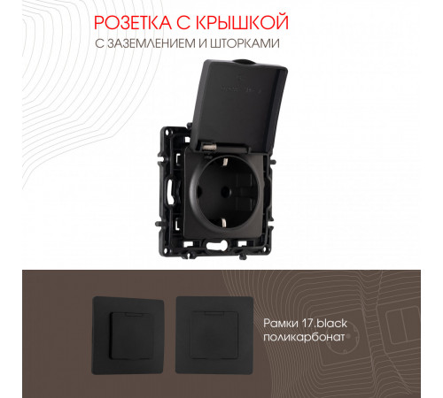 Розетка с заземлением, шторками и защитной крышкой Arte Milano 217.41-1.black Розетка с заземлением, шторками и защитной крышкой Arte Milano 217.41-1.black
