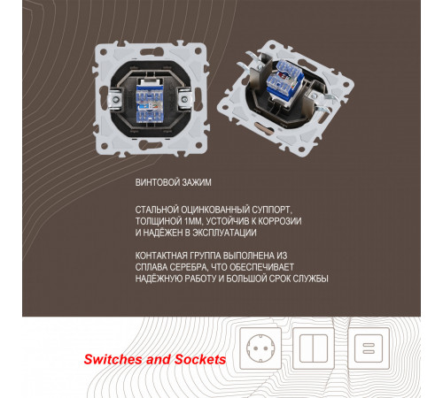 Розетка RJ45 Arte Milano 206.45-1.shampan
