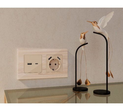 Комплект механизма розетки 2USB A+A 18W (быстрая зарядка) с/з Ambrella Volt Alfa MA309010 Комплект механизма розетки 2USB A+A 18W (быстрая зарядка) с/з Ambrella Volt Alfa MA309010