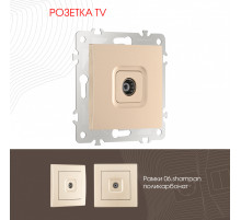 Розетка TV Arte Milano 206.43-1.shampan