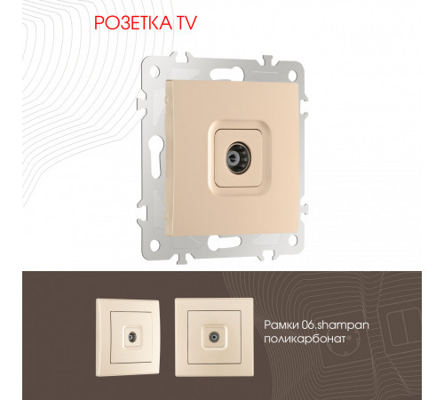 Розетка TV Arte Milano 206.43-1.shampan