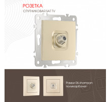 Розетка SAT TV Arte Milano 206.42-1.shampan