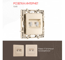 Розетка RJ45 Arte Milano 217.45-2.shampan