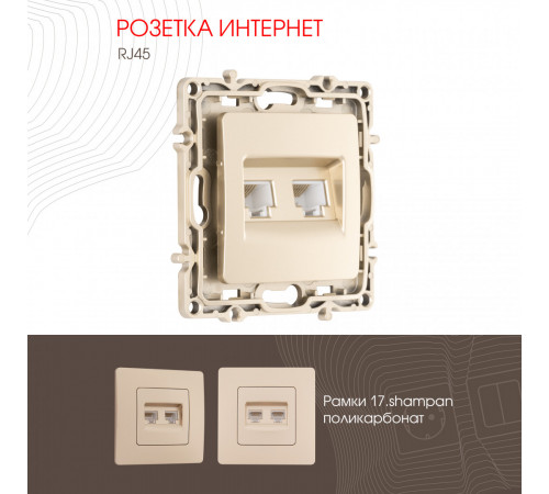 Розетка RJ45 Arte Milano 217.45-2.shampan Розетка RJ45 Arte Milano 217.45-2.shampan