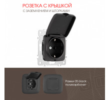 Розетка с заземлением, шторками и защитной крышкой Arte Milano 205.41-1.black