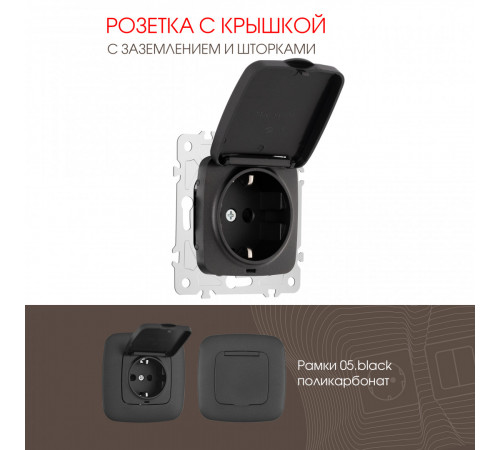 Розетка с заземлением, шторками и защитной крышкой Arte Milano 205.41-1.black Розетка с заземлением, шторками и защитной крышкой Arte Milano 205.41-1.black