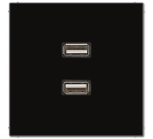 Розетка USB Jung MALS1153SW