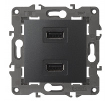 Розетка USB Эра 14-4110-05 Б0034373