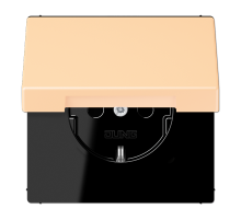Розетка 2K+З с крышкой Jung LC1520BFKL223