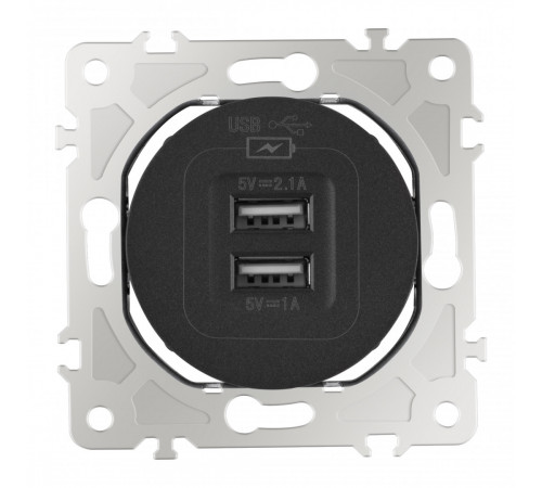 Розетка USB 2.1А+1А Arte Milano 202.46-1.black Розетка USB 2.1А+1А Arte Milano 202.46-1.black
