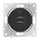 Розетка USB 2.1А+1А Arte Milano 202.46-1.black