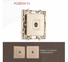 Розетка TV Arte Milano 217.43-1.shampan
