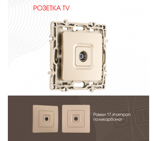 Розетка TV Arte Milano 217.43-1.shampan
