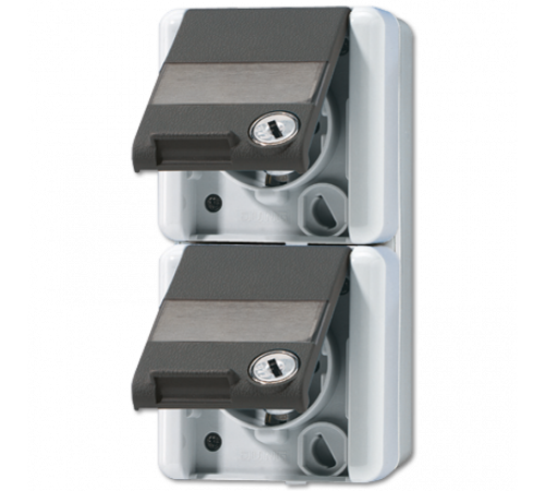 Розетка Schuko двухместная Jung 822NAWSL
