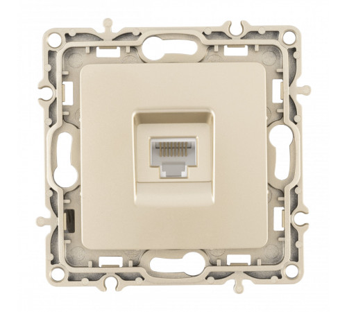 Розетка RJ45 Arte Milano 217.45-1.shampan Розетка RJ45 Arte Milano 217.45-1.shampan
