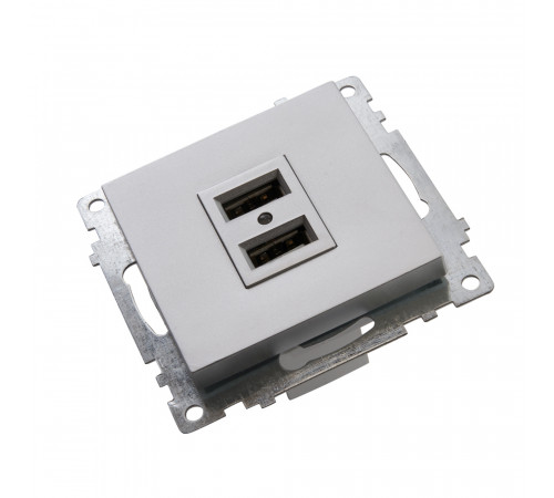 Розетка USB 2-местная Stekker Катрин 39588 Розетка USB 2-местная Stekker Катрин 39588