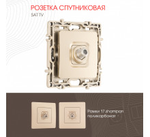 Розетка спутниковая SAT TV Arte Milano 217.42-1.shampan