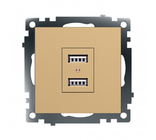 Розетка 2-местная USB Stekker Катрин GLS10-7115-08 49229 Розетка 2-местная USB Stekker Катрин GLS10-7115-08 49229