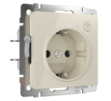 Розетка Wi-Fi Werkel слоновая кость W1171603 4690389176081