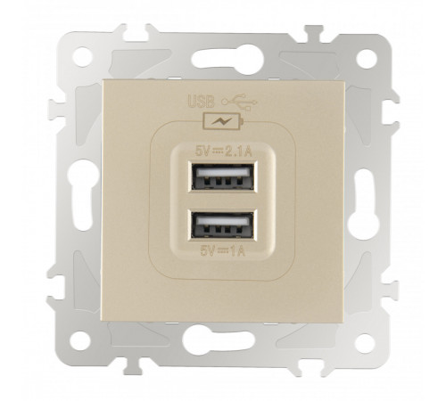 Розетка USB 2.1А+1А Arte Milano 203.46-1.shampan Розетка USB 2.1А+1А Arte Milano 203.46-1.shampan