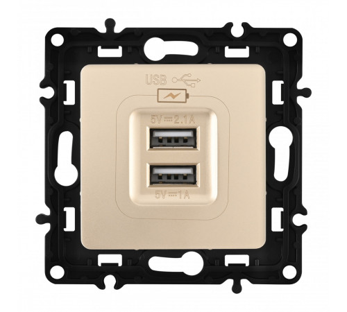 Розетка USB 2.1А+1А Arte Milano 217.46-1.shampan Розетка USB 2.1А+1А Arte Milano 217.46-1.shampan