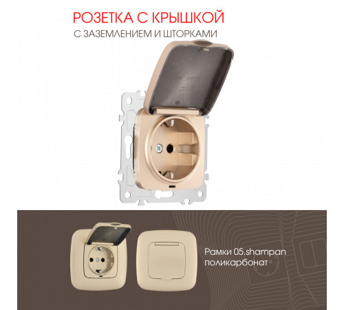 Розетка с заземлением, шторками и защитной крышкой Arte Milano 205.41-1.shampan Розетка с заземлением, шторками и защитной крышкой Arte Milano 205.41-1.shampan