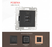 Розетка USB 2.1А+1А Arte Milano 203.46-1.black