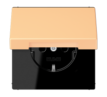 Розетка 2K+З с крышкой Jung LC1520BFKL258
