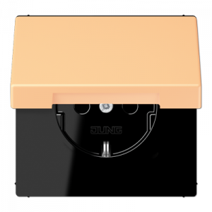 Розетка 2K+З с крышкой Jung LC1520BFKL258