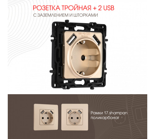 Розетка с заземлением, шторками + 2 USB Arte Milano 217.47-1.shampan Розетка с заземлением, шторками + 2 USB Arte Milano 217.47-1.shampan