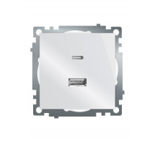 Розетка 2-местная USB + type C Stekker Катрин GLS10-7116-01 50051