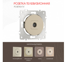 Розетка TV Arte Milano 202.43-1.shampan