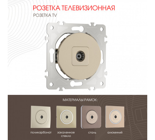 Розетка TV Arte Milano 202.43-1.shampan Розетка TV Arte Milano 202.43-1.shampan